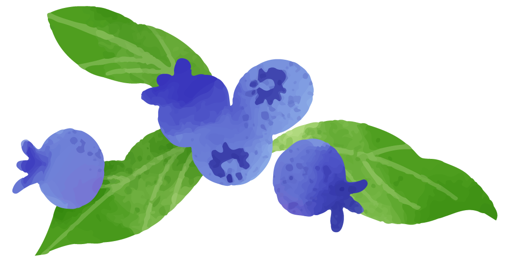 ブルーベリーイメージ