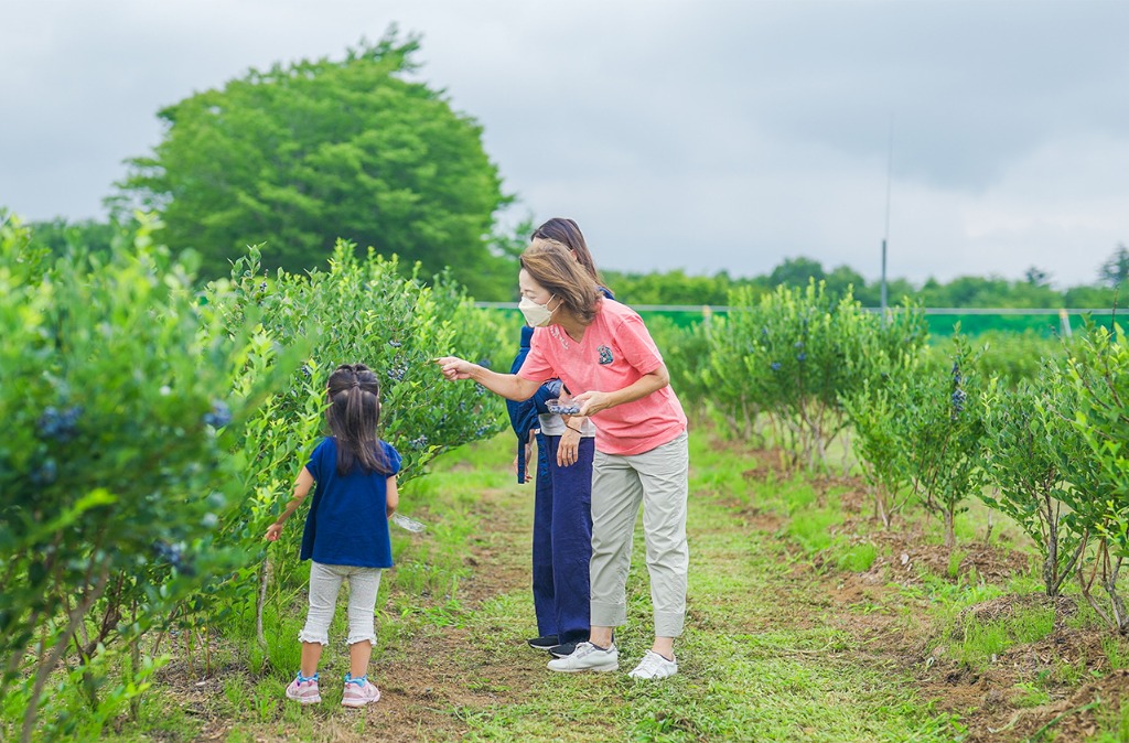ご家族・カップルで楽しめる