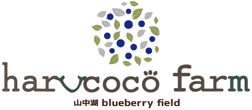山中湖周辺でレジャー＆アクティビティ、観光におすすめ！子供連れに人気の「harucoco farm」